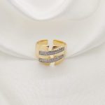 ANILLO ANCHO DIVISION EN S CON DOS BARRAS PAVE