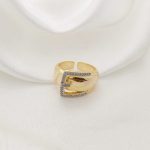 ANILLO HEVILLA PAVE