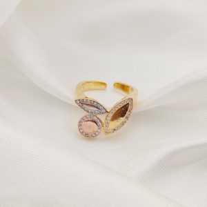 ANILLO SEMILLAS Y CURCOLO CONTORNO PAVE