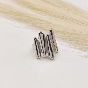 ANILLO CONOS ENCONTRADOS