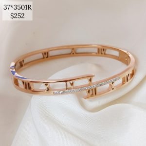 PULSO RIGIDO NUMEROS ROMANOS LINEA CENTRO BRILLOS