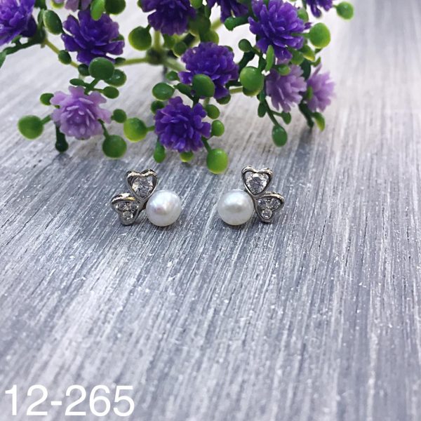 12-265.jpg 12-265.jpg