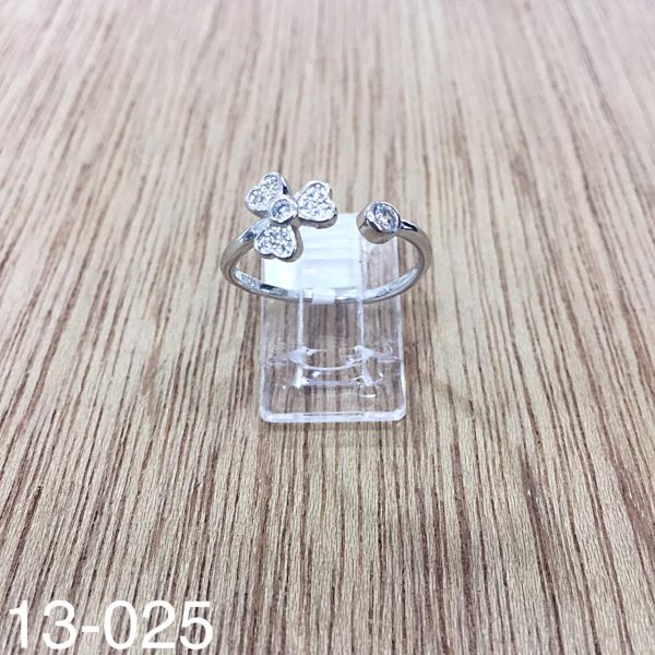 13-025.jpg 13-025.jpg