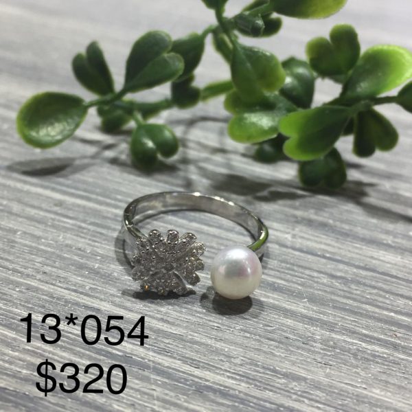 13-054.jpg 13-054.jpg