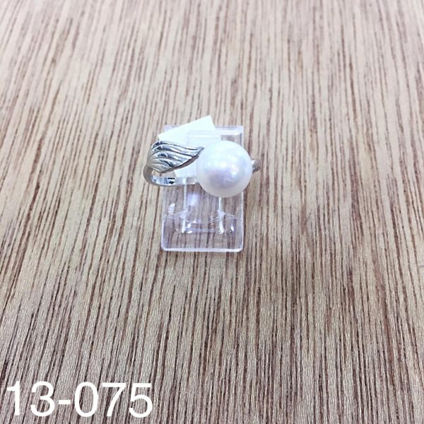 13-075.jpg 13-075.jpg