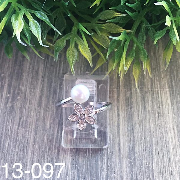 13-097.jpg 13-097.jpg