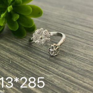 13-285.jpg 13-285.jpg