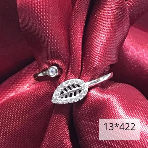 13-422.jpg 13-422.jpg