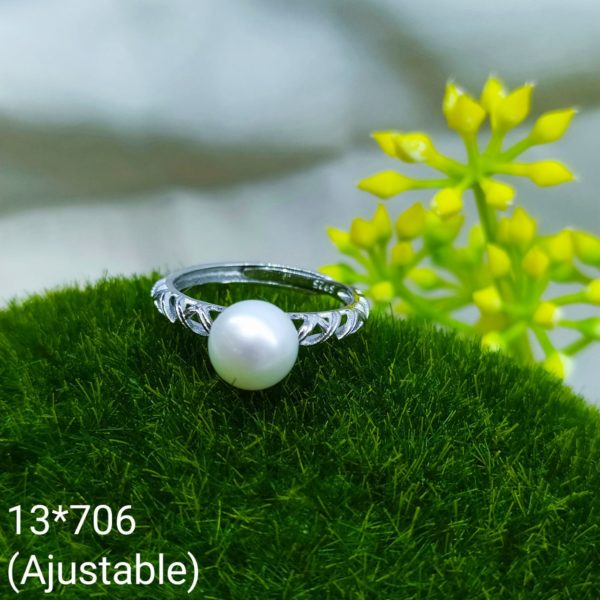 13-706.jpg 13-706.jpg