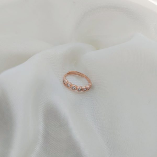 13-821rs.jpg 13-821rs.jpg